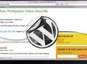 Developing Alluring Exceptional WordPress Themes