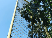 This Baseball: Foul Poles Makeover