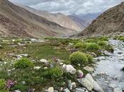 Ladakh Trip Cost Days: Tour Package People