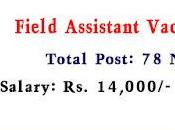 Veterinary Recruitment 2022 Assam Apply Field Assistant Vacancies