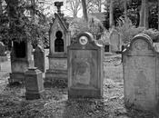 Calling Dead Part Five