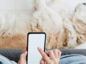 Brain Challenging Activities