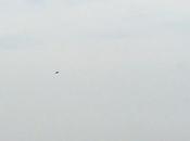 Speed Income Returns Processing