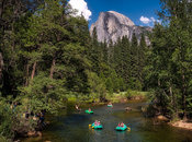 Camping Yosemite National Park with Children [How Safe Have Fun]