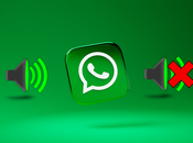 WhatsApp Voice Message Volume Problem iPhone