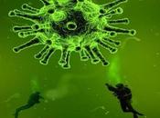Powassan Virus (POWV): Causes, Symptoms, Prevention Treatments