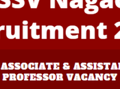 MSSV Nagaon Recruitment 2022 Associate Assistant Professor Vacancy, Online Apply