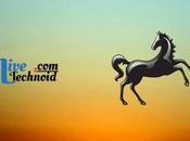 Fixed: Lloyds Bank Working