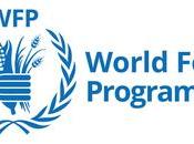 Reveal About Food Insecurity