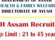 AYUSH Assam Recruitment 2022 Apply Online Various Vacancy