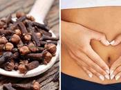 Benefits Drinking Clove Water During Periods