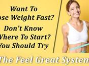 What Feel Great System Weight Loss Program?