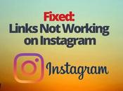 Fixed: Links Working Instagram
