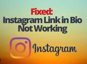Fixed: Instagram Link Working