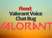 Fixed: Valorant Voice Chat