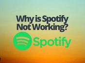 Spotify Working?