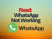 Fixed: WhatsApp Working