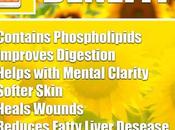 Sunflower Lecithin Softgel Capsules Benefits, Side Effects Dosage
