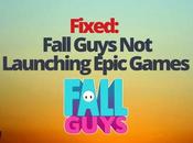 Fixed: Fall Guys Launching Epic Games