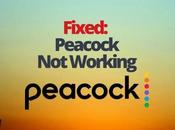 Fixed: Peacock Working