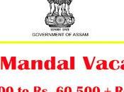 Sonitpur Recruitment 2022 Apply Mandal Vacancy