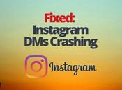 Fixed: Instagram Crashing