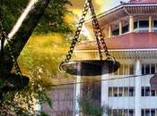 Determines Petroleum Products Amendment Bill Inconsistent