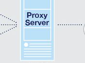 Scraper Proxy Server Benefit Your Business Data