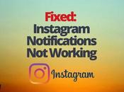 Fixed: Instagram Notifications Working