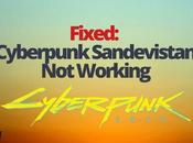 Fixed: Cyberpunk Sandevistan Working