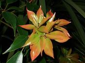 ...And Then Turned Three