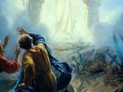 Window into Veracity Gospel