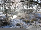 Winter Christmas Table Names Pt.5: Plants &amp; Nativity