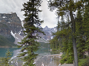 Google Brings Street View U.S. Canadian National Parks