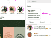 Instagram Notes Ideas: Ideas Your Next Note