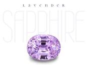 Choose Lavender Sapphire Create Wonderful Moments