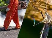 Reasons Hire Professional Mosquito Control Company