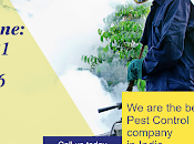 Advantages Fumigation Services