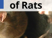 Effective Rodent Control Method