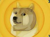 Dogecoin Wallet Addresses Currently Profit