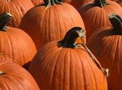 This Halloween