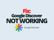 Fix: Google Discover Working