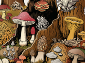 Mushroom Empire