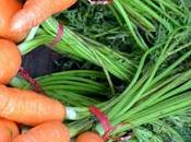 Carrot Well Read Posts)