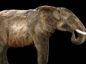 Twitter Mastodon What