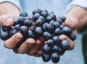 Cart Wave Photography: Stock Images Prints