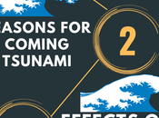 Download Essay Tsunami Words