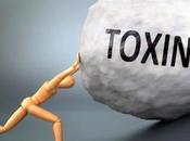 Practical Tips Protect Your Loved Ones From Everyday Toxins