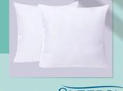 Throw Pillow Inserts Online Sleepsia