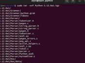 Install Python Ubuntu Linux Methods)